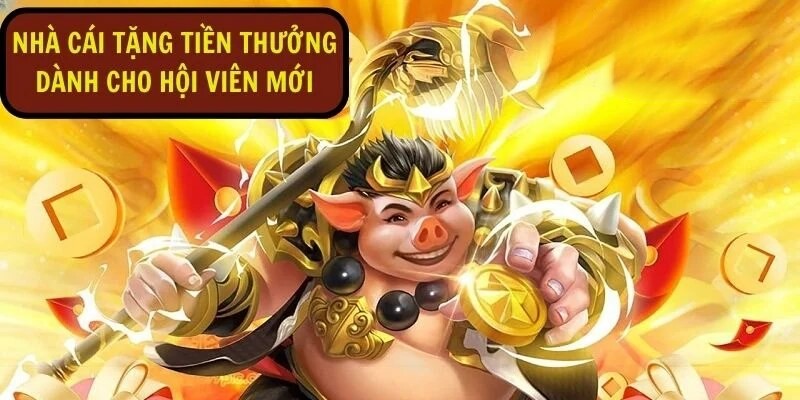 thưởng hội viên mới